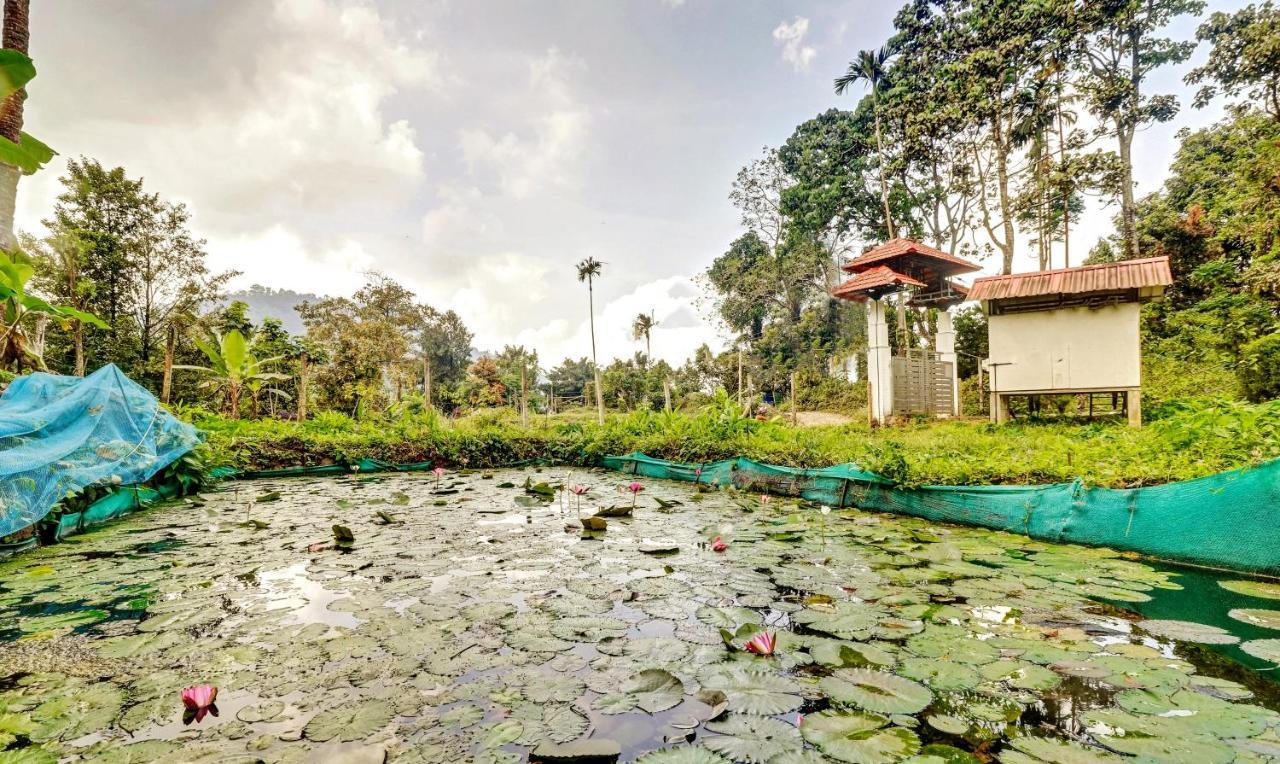 Treebo Tryst Jathika Resorts Kozhikode Εξωτερικό φωτογραφία