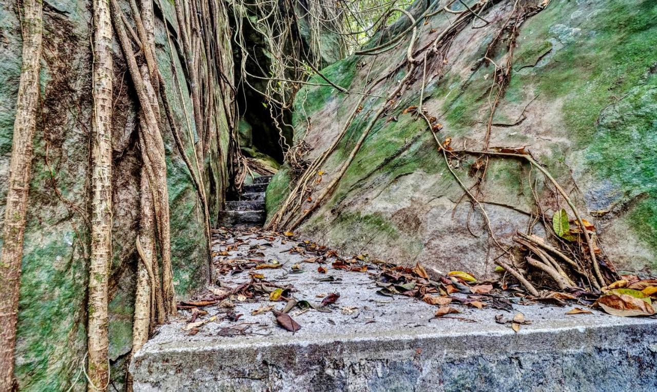 Treebo Tryst Jathika Resorts Kozhikode Εξωτερικό φωτογραφία