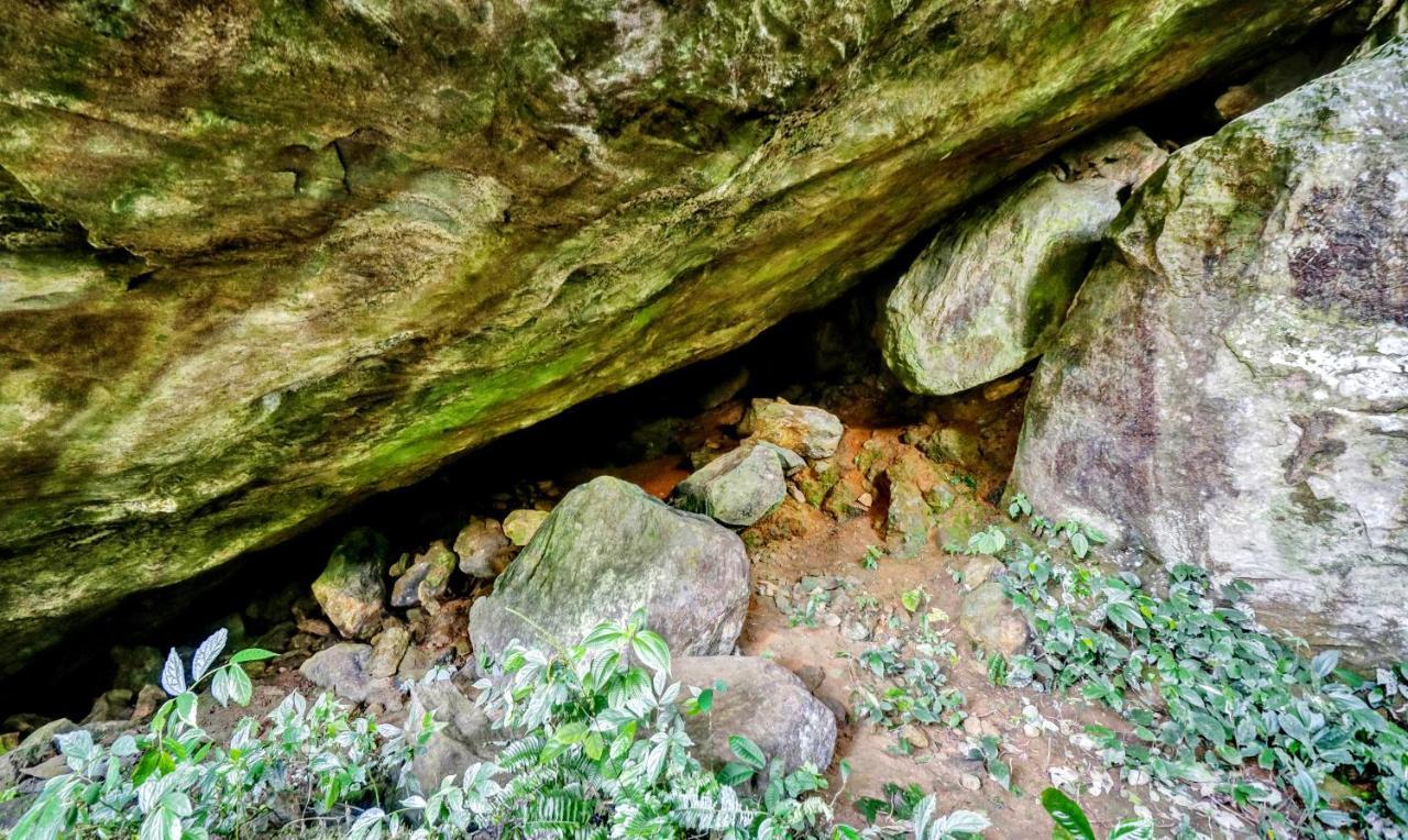 Treebo Tryst Jathika Resorts Kozhikode Εξωτερικό φωτογραφία
