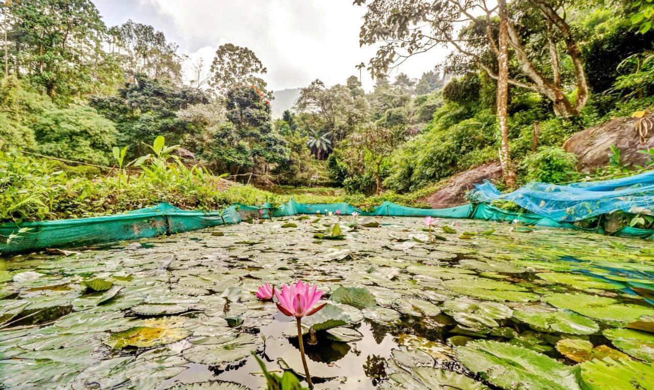 Treebo Tryst Jathika Resorts Kozhikode Εξωτερικό φωτογραφία